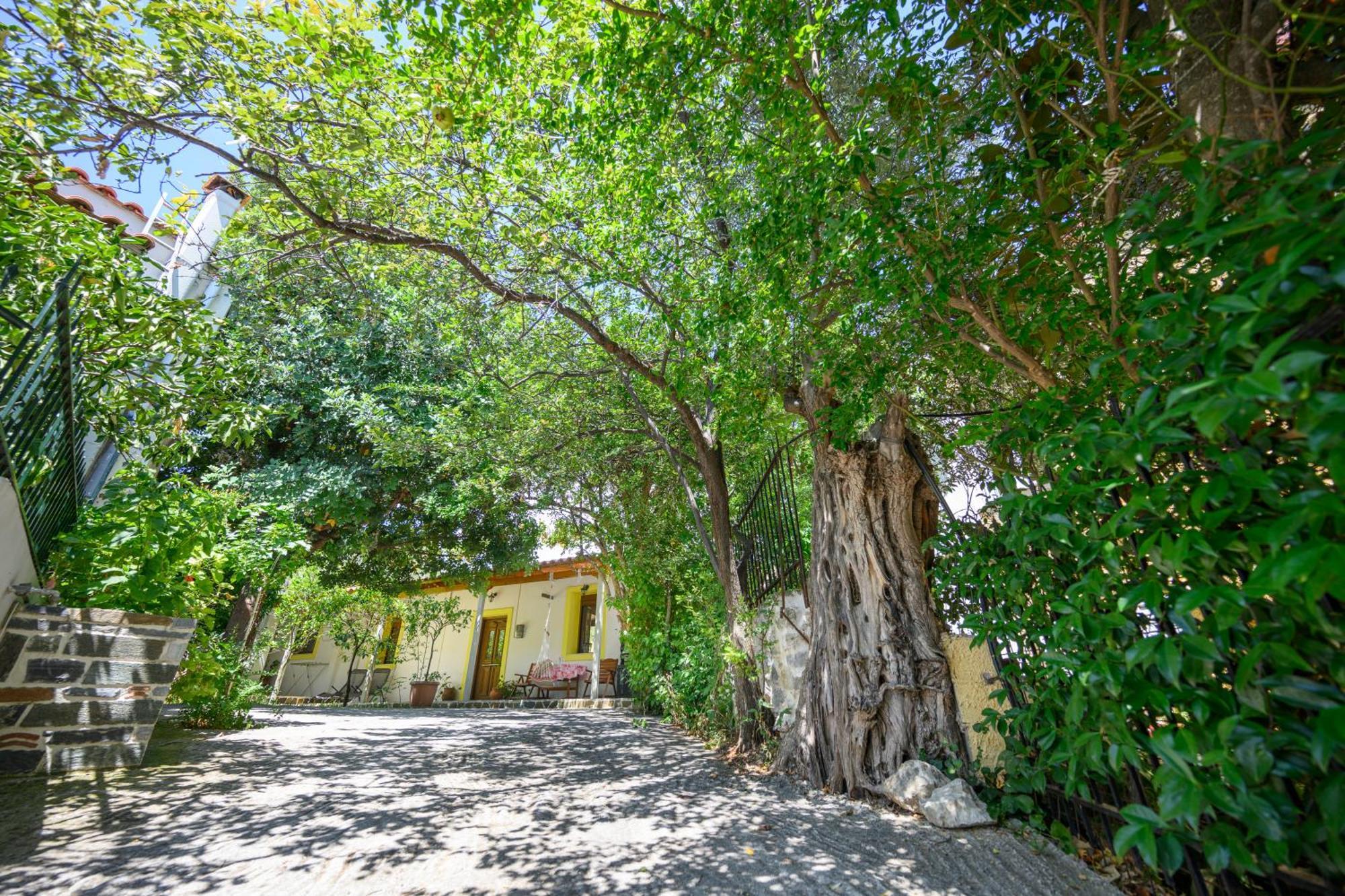 Small Villa Gerani Agios Vlasios  Екстериор снимка