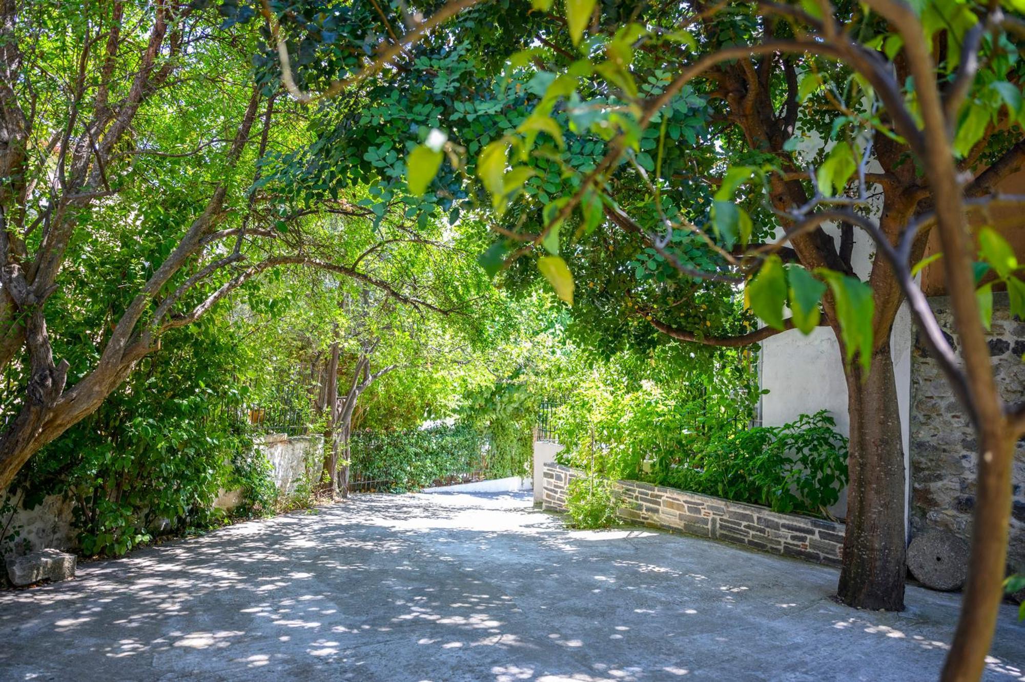 Small Villa Gerani Agios Vlasios  Екстериор снимка