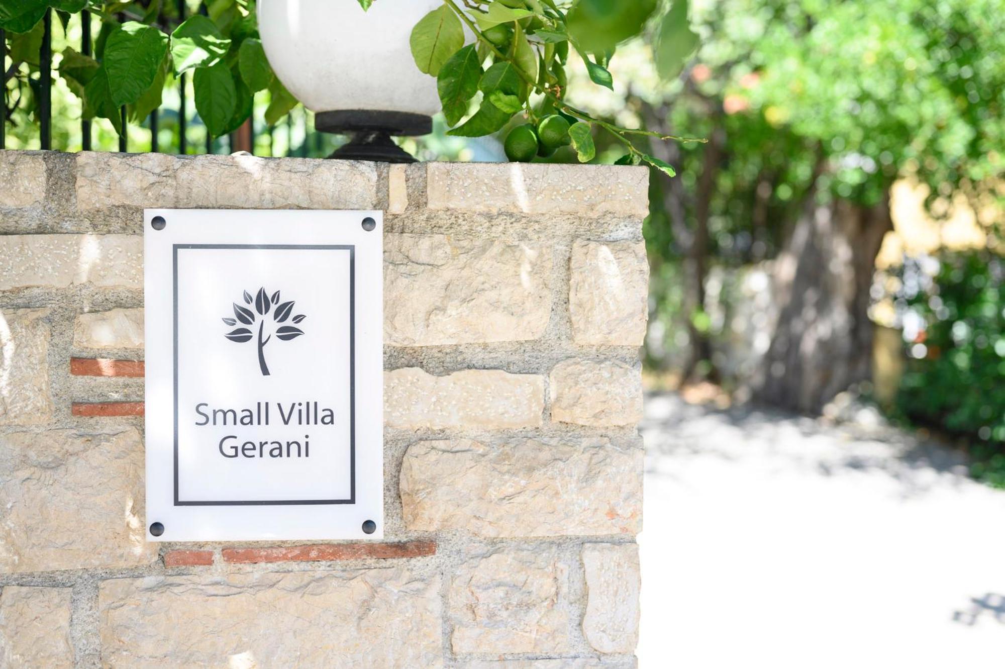 Small Villa Gerani Agios Vlasios  Екстериор снимка